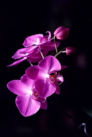 FOTOGRAF&Iacute;A